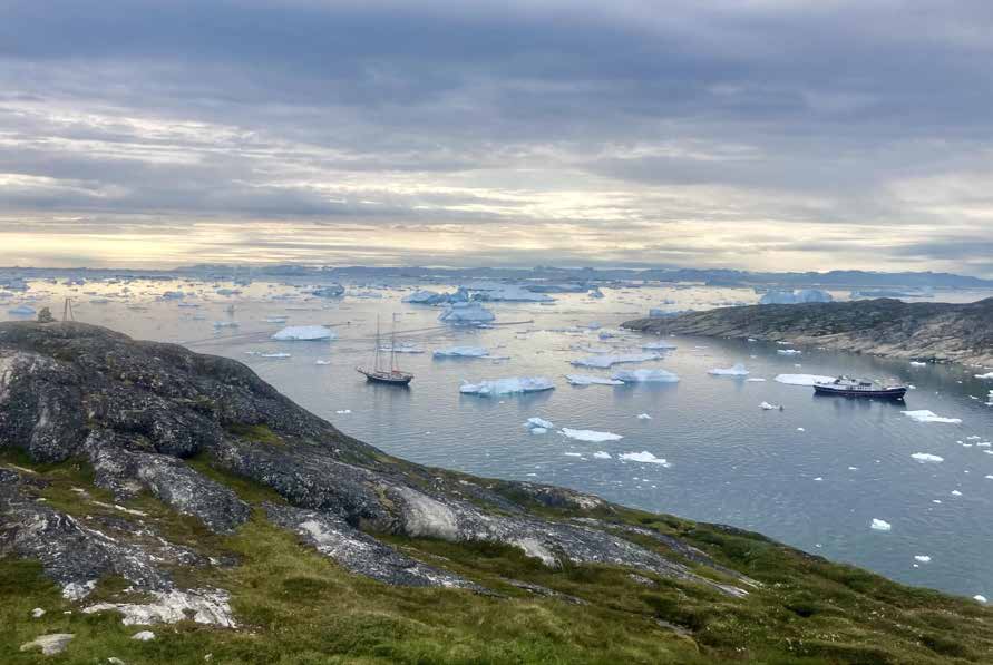 Diskobucht und Uummannaq: Zwei Julireisen mit der Cape Race