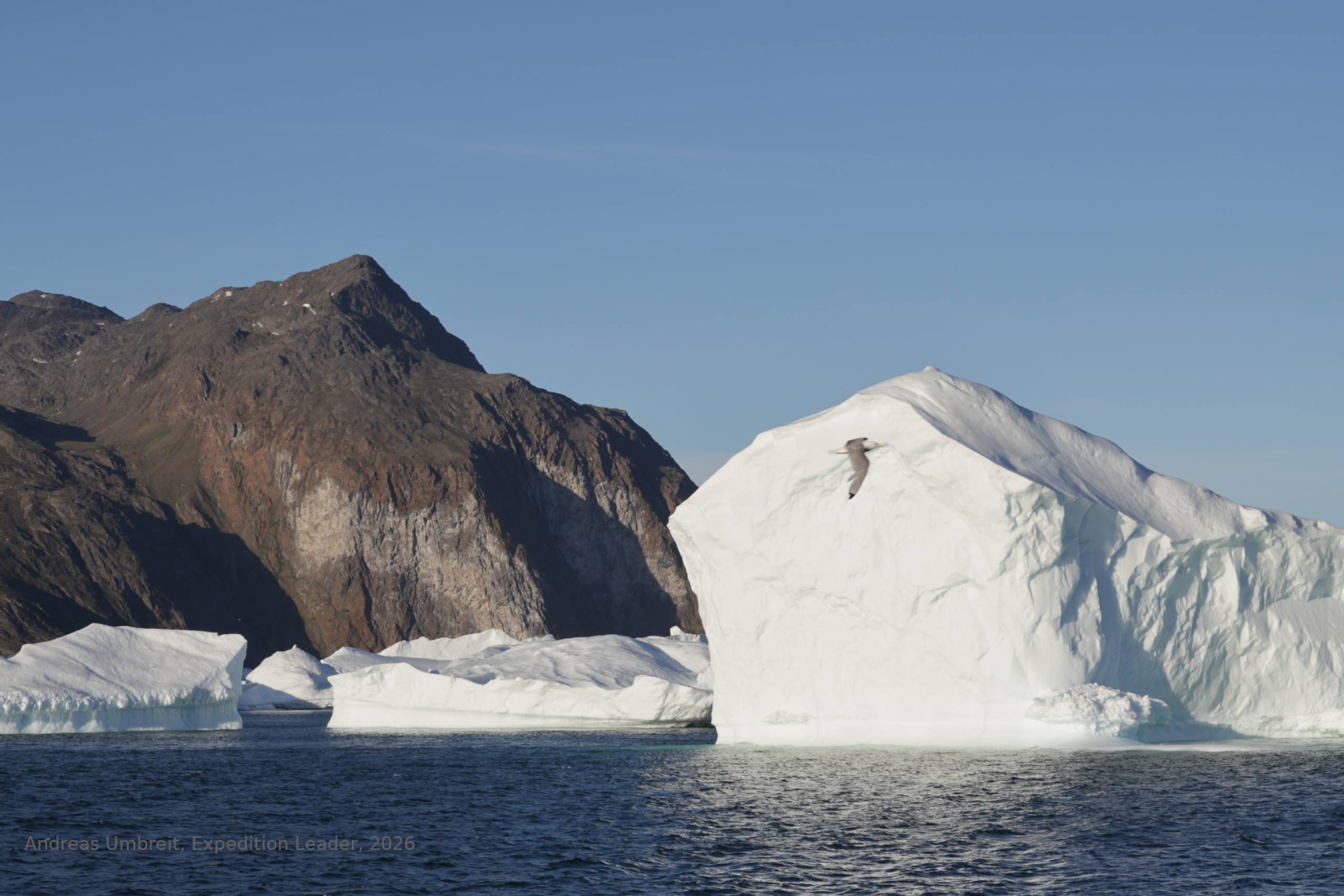 Nächtliche Passage eines Vogelfelsens zwischen Eisbergen in der nordöstlichen Diskobucht