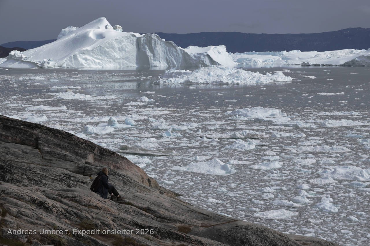 Blick von der Wanderroute bei Ilulissat auf die Eisberge im Kangiafjord
