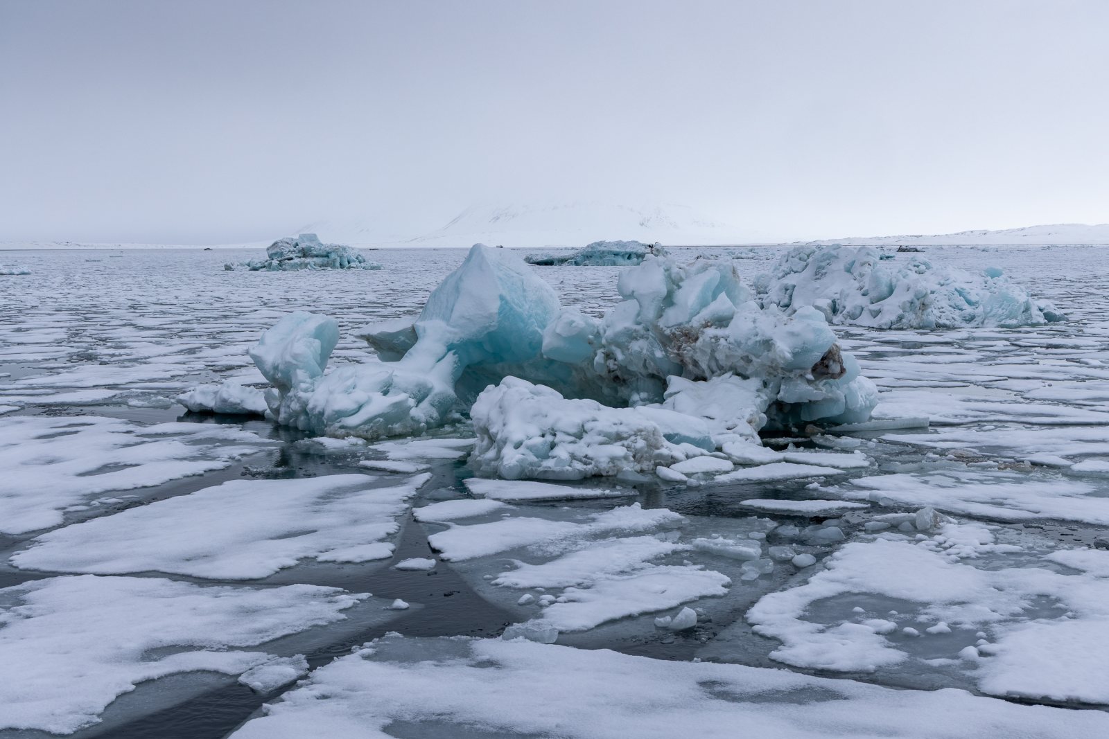Borebukta, Spitzbergen: aufgebrochenes Fjordeis und gestrandete Eisschollen vor verschneiten Bergen